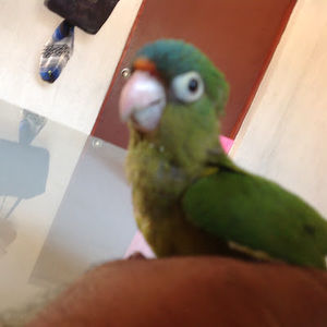 Meet your Posher, Jorge